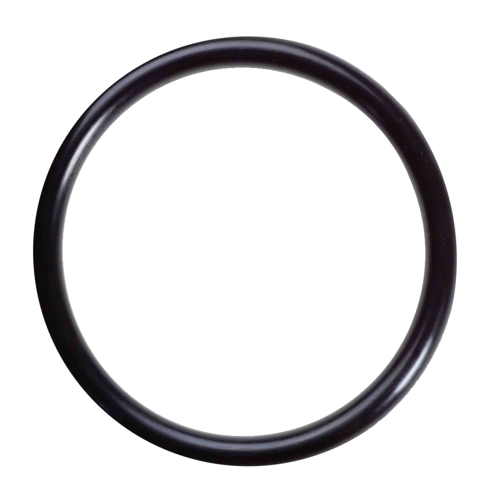 Pentek Ametek Standard O-Ring