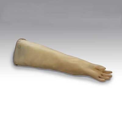 5005603 Latex Gloves