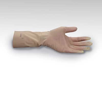 5006300 Latex Hands