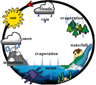 Animated Water Cycle